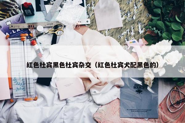 红色杜宾黑色杜宾杂交（红色杜宾犬配黑色的）