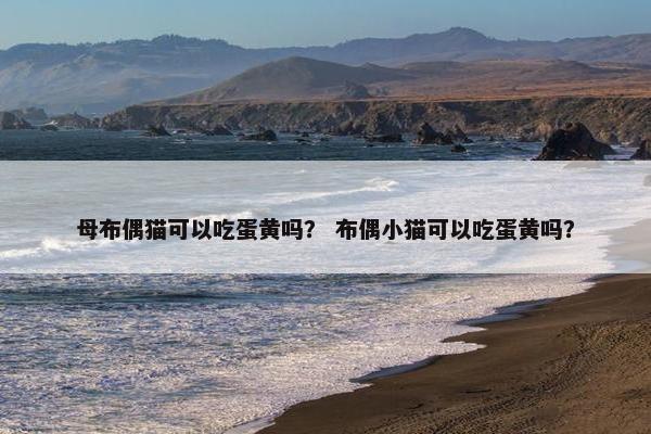 母布偶猫可以吃蛋黄吗？ 布偶小猫可以吃蛋黄吗？