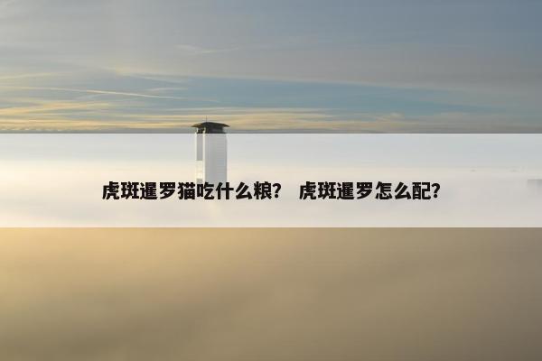 虎斑暹罗猫吃什么粮？ 虎斑暹罗怎么配？