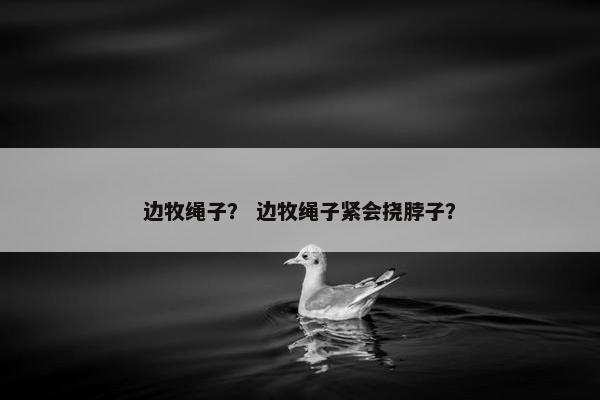 边牧绳子？ 边牧绳子紧会挠脖子？