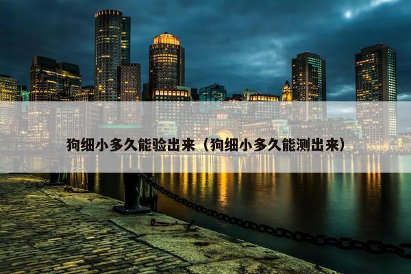 狗细小多久能验出来（狗细小多久能测出来）