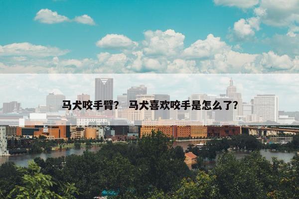 马犬咬手臂？ 马犬喜欢咬手是怎么了？