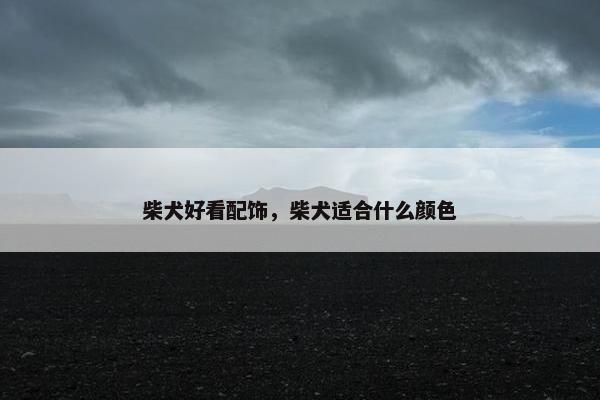 柴犬好看配饰，柴犬适合什么颜色