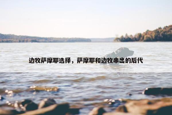 边牧萨摩耶选择，萨摩耶和边牧串出的后代