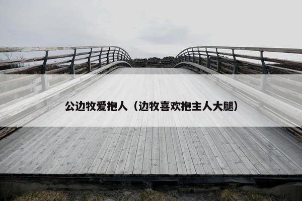 公边牧爱抱人（边牧喜欢抱主人大腿）