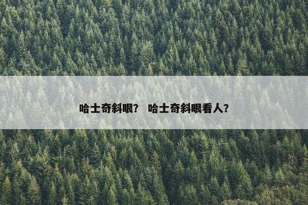 哈士奇斜眼？ 哈士奇斜眼看人？