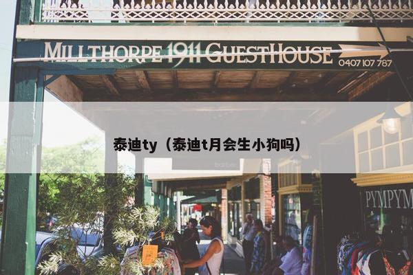 泰迪ty（泰迪t月会生小狗吗）