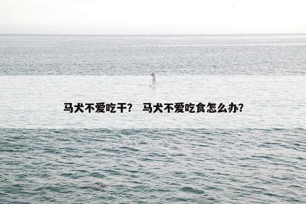 马犬不爱吃干？ 马犬不爱吃食怎么办？