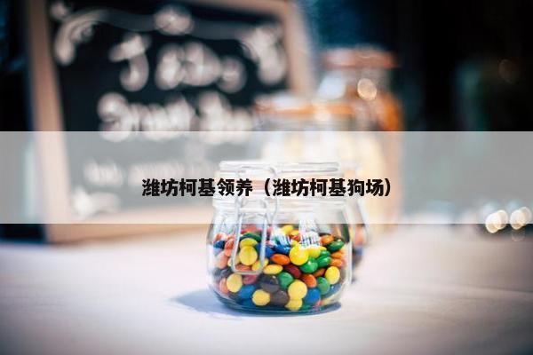 潍坊柯基领养（潍坊柯基狗场）