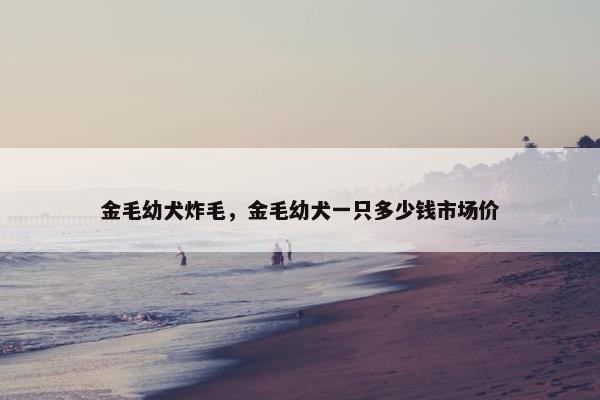 金毛幼犬炸毛，金毛幼犬一只多少钱市场价