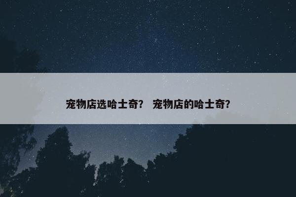 宠物店选哈士奇？ 宠物店的哈士奇？