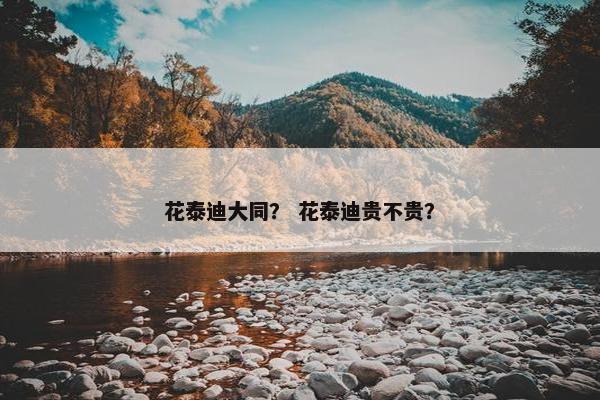花泰迪大同？ 花泰迪贵不贵？