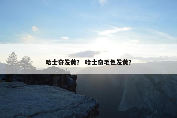 哈士奇发黄？ 哈士奇毛色发黄？