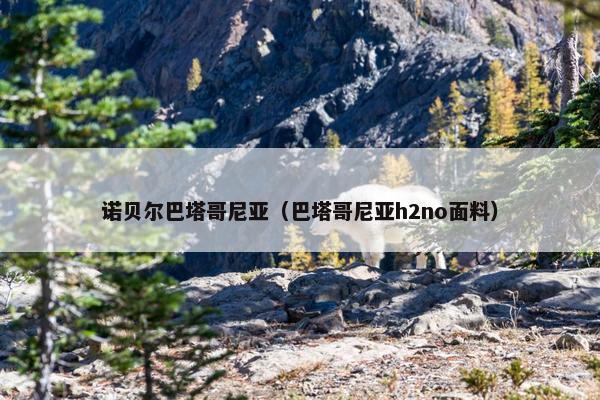 诺贝尔巴塔哥尼亚（巴塔哥尼亚h2no面料）