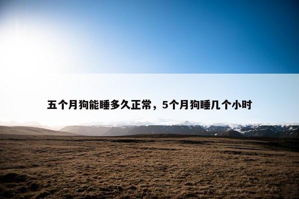 五个月狗能睡多久正常，5个月狗睡几个小时
