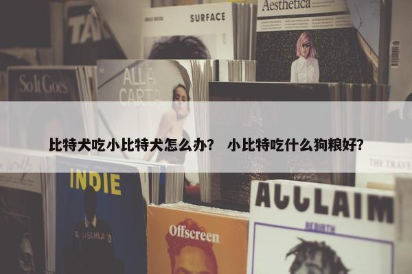 比特犬吃小比特犬怎么办？ 小比特吃什么狗粮好？
