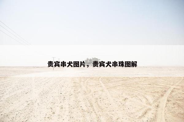 贵宾串犬图片，贵宾犬串珠图解