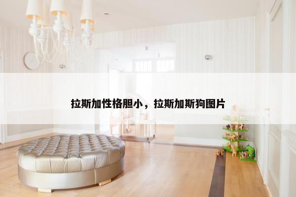 拉斯加性格胆小，拉斯加斯狗图片