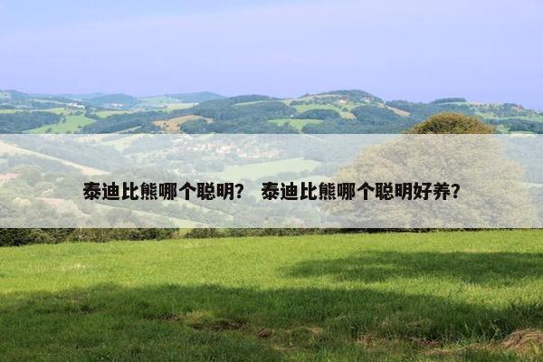 泰迪比熊哪个聪明？ 泰迪比熊哪个聪明好养？