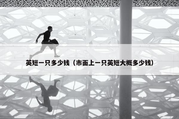 英短一只多少钱（市面上一只英短大概多少钱）