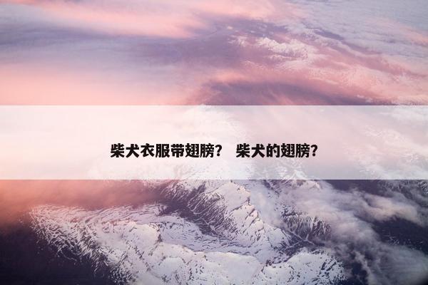 柴犬衣服带翅膀？ 柴犬的翅膀？