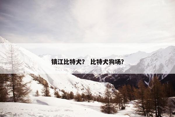 镇江比特犬？ 比特犬狗场？