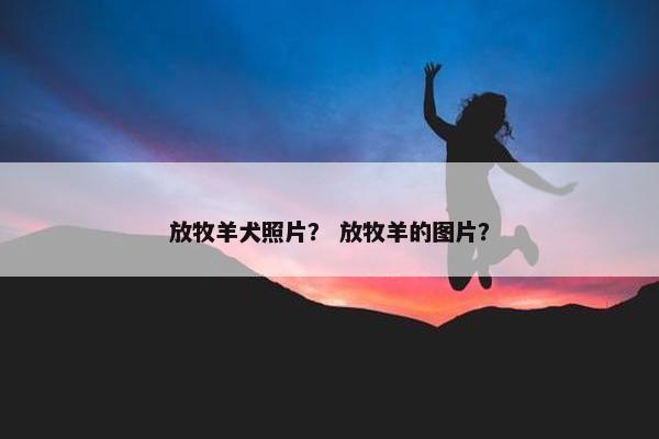 放牧羊犬照片？ 放牧羊的图片？