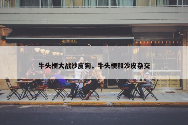 牛头梗大战沙皮狗，牛头梗和沙皮杂交
