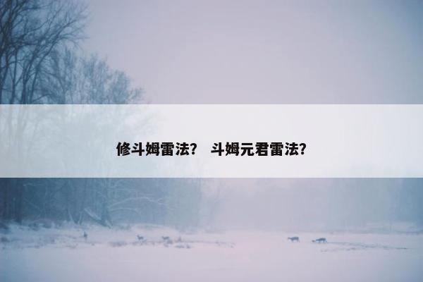 修斗姆雷法？ 斗姆元君雷法？