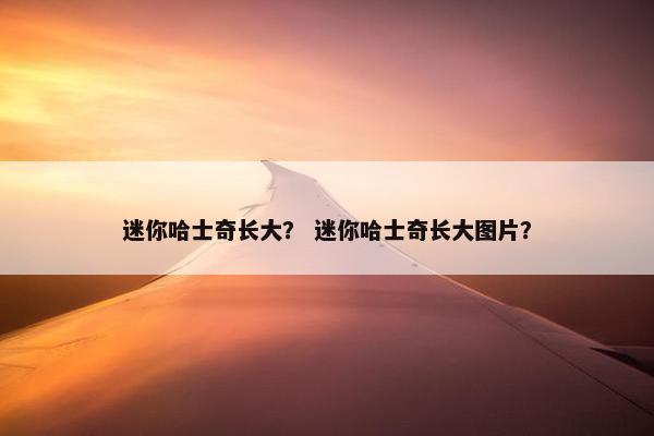 迷你哈士奇长大？ 迷你哈士奇长大图片？