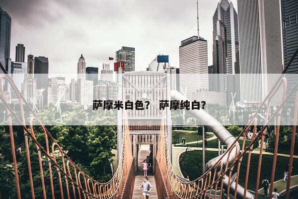 萨摩米白色？ 萨摩纯白？