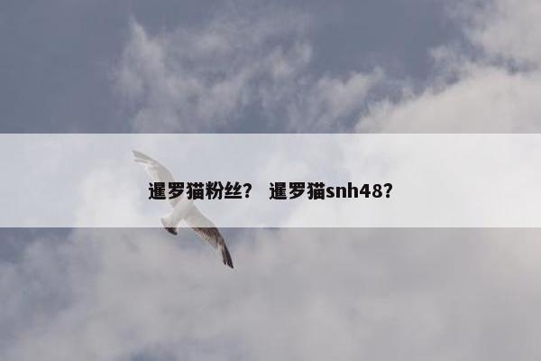 暹罗猫粉丝？ 暹罗猫snh48？