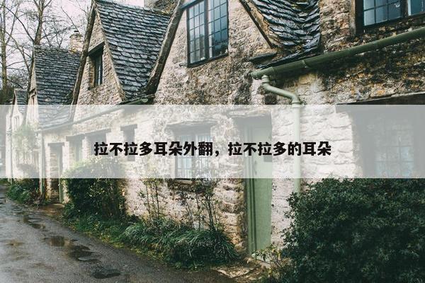 拉不拉多耳朵外翻，拉不拉多的耳朵