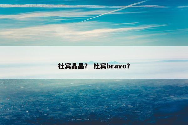 杜宾晶晶？ 杜宾bravo？