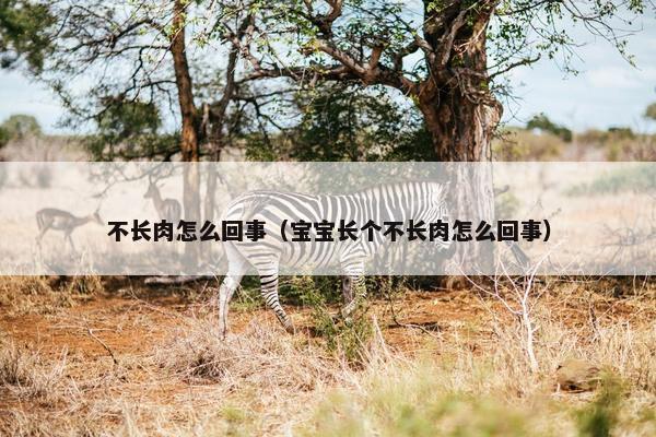 不长肉怎么回事（宝宝长个不长肉怎么回事）