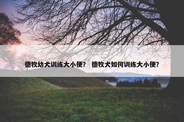德牧幼犬训练大小便？ 德牧犬如何训练大小便？