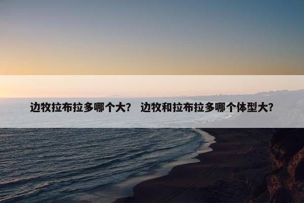 边牧拉布拉多哪个大？ 边牧和拉布拉多哪个体型大？