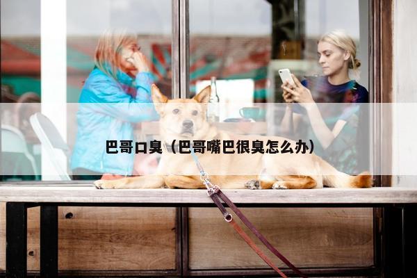 巴哥口臭（巴哥嘴巴很臭怎么办）
