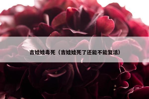 吉娃娃毒死（吉娃娃死了还能不能复活）
