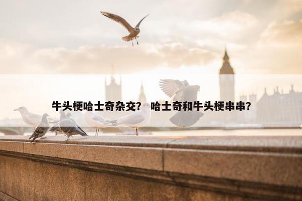 牛头梗哈士奇杂交？ 哈士奇和牛头梗串串？