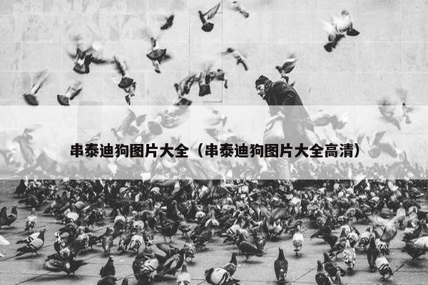 串泰迪狗图片大全（串泰迪狗图片大全高清）