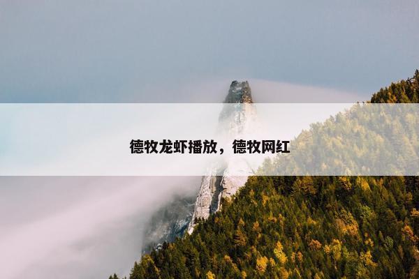 德牧龙虾播放，德牧网红