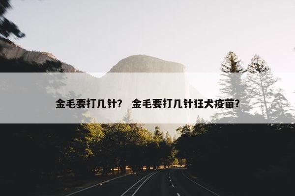 金毛要打几针？ 金毛要打几针狂犬疫苗？