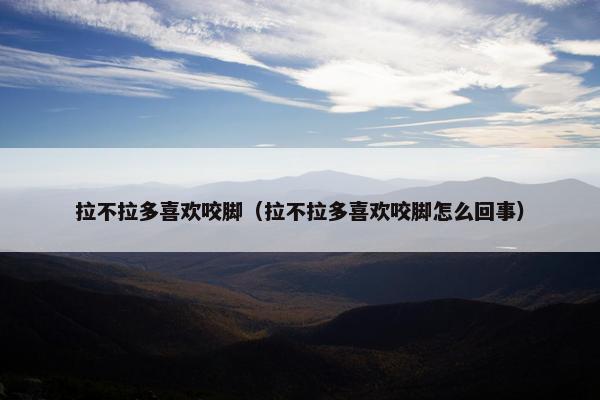 拉不拉多喜欢咬脚（拉不拉多喜欢咬脚怎么回事）
