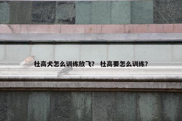 杜高犬怎么训练放飞？ 杜高要怎么训练？