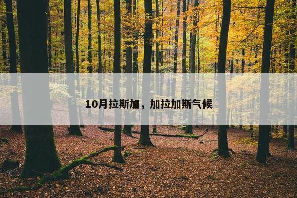 10月拉斯加，加拉加斯气候