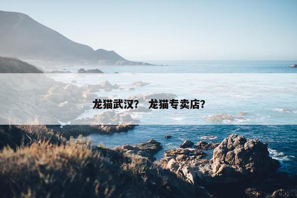 龙猫武汉？ 龙猫专卖店？