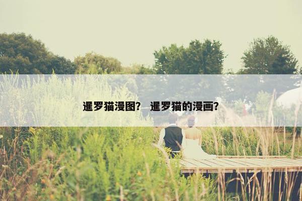 暹罗猫漫图？ 暹罗猫的漫画？