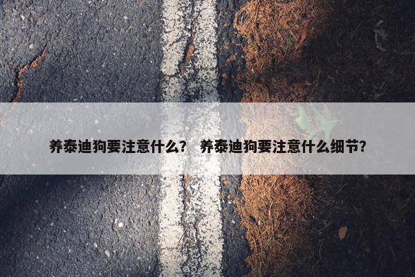养泰迪狗要注意什么？ 养泰迪狗要注意什么细节？