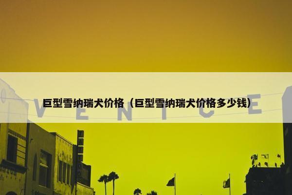 巨型雪纳瑞犬价格（巨型雪纳瑞犬价格多少钱）